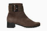 Gianina - Ice Brown 1220