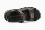 Honduras - Dark Brown 46