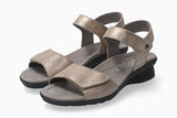 Pattie Dark Taupe 5165/3765