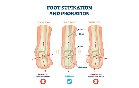pedag Correct Pronation Supination Heel Inserts ShoesNW Mephisto Shoes Northwest